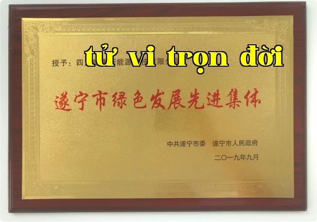 Tập thể tiên tiến về phát triển xanh thành phố Thuận Định