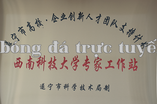 Trạm chuyên gia Đại học Tây Nam Khoa Học Kỹ Thuật